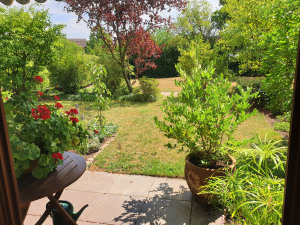 Eine Terrasse mit Pflanzen und Blumen bietet einen Blick auf einen grünen Garten mit Bäumen und Rasen.